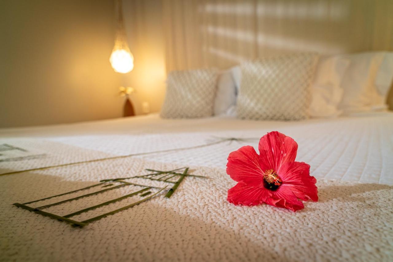 Pontal Dos Carneiros Beach Bungalows Praia dos Carneiros Dış mekan fotoğraf